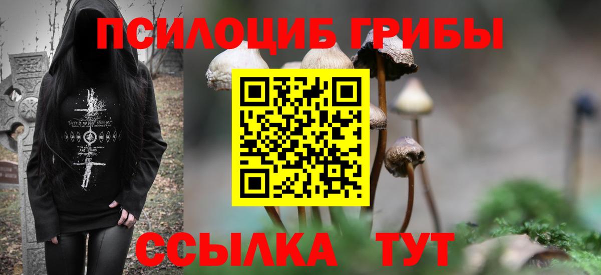 дарнет шоп  Вход с VPN  Петровск  Галлюциногенные грибы Cubensis 